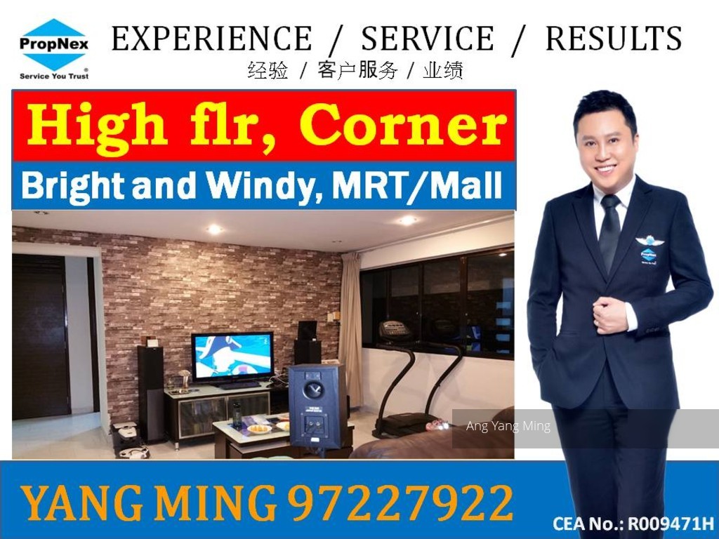 Blk 422 Choa Chu Kang Avenue 4 (Choa Chu Kang), HDB 4 Rooms #106976542